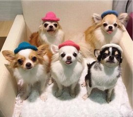 ImtokenApp官方下载