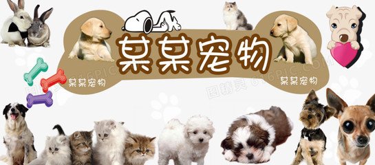 imToken官网正版